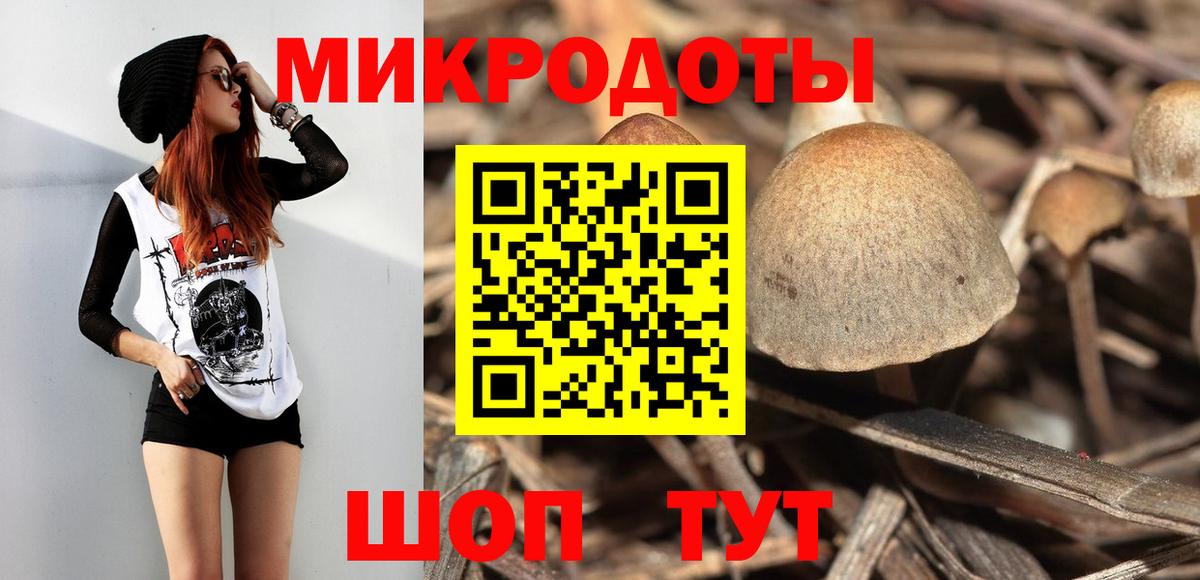 Псилоцибиновые грибы Cubensis  Галлюциногенные грибы Magic Shrooms  Якутск  Вход с VPN 
